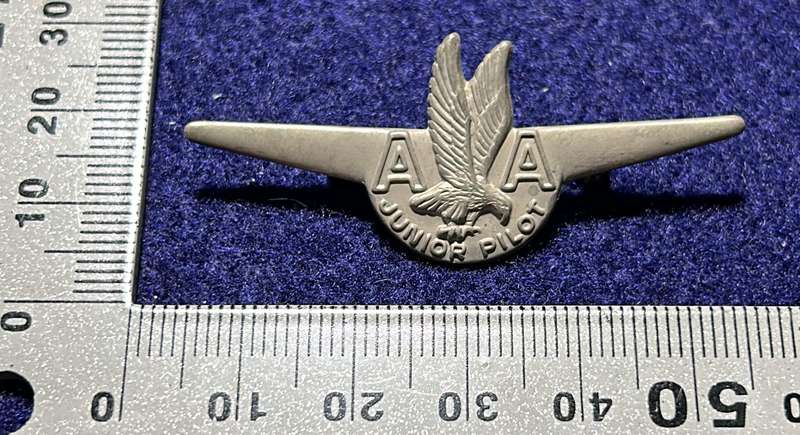 South African Civil Aviation - AA JUNIOR PILOT WINGS