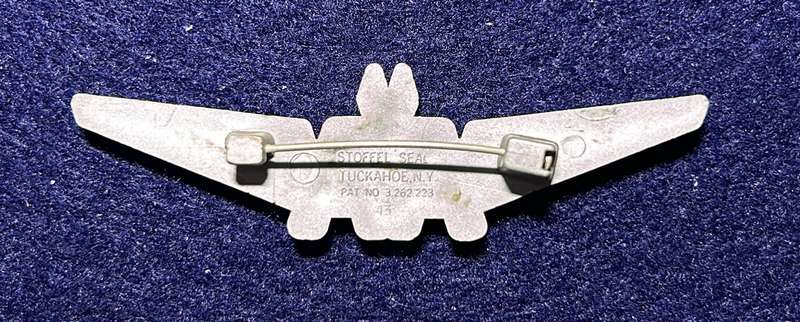 South African Civil Aviation - AA WINGS