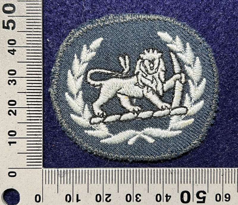 Rhodesian Air Force - RHAF SINGLE WO CLASS II SLEEVE DRESS BLUES 1970 to 1980