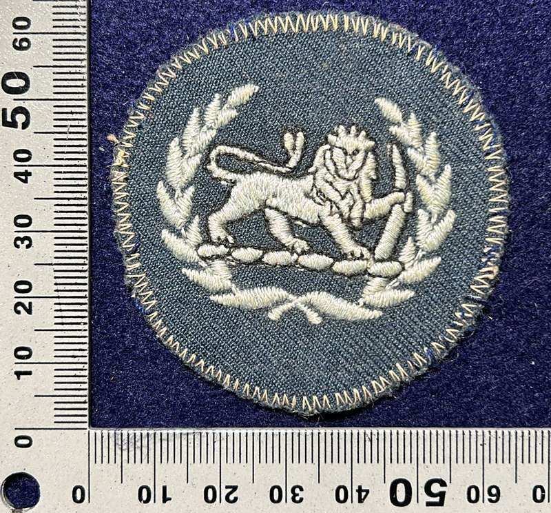 Rhodesian Air Force - RHAF SINGLE WO CLASS II SLEEVE DRESS BLUES 1970 to 1980