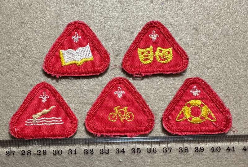 Rhodesian Boy Scouts - VARIED PROFICIENCY CLOTH BADGES - 5 badges