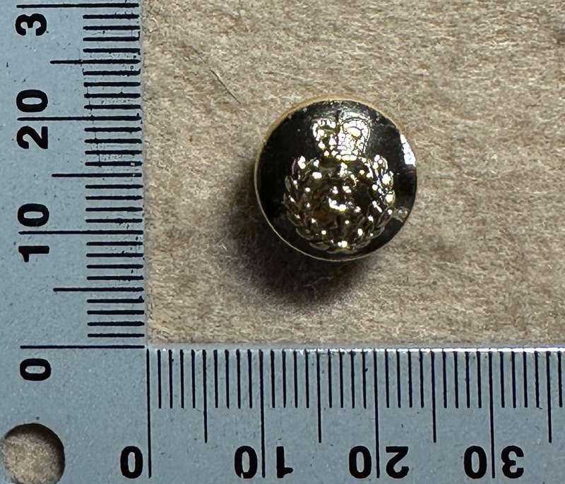 Rhodesian Medical Corps - 1 BUTTON - QC, by GAUNT, London