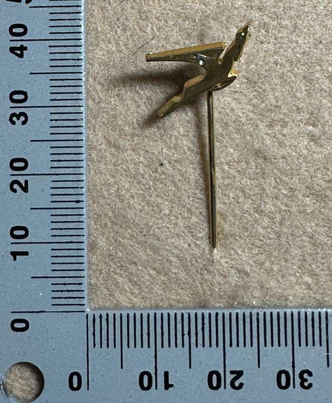 South African Civil Aviation - SAA FLYING SPRINGBOK PIN
