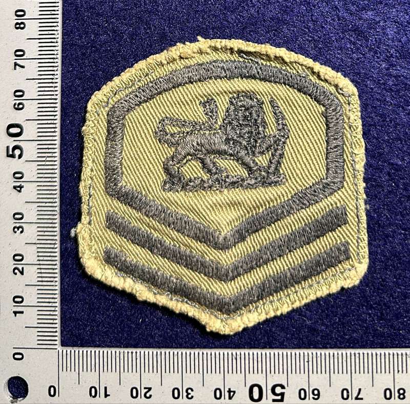 Rhodesian Air Force - RHAR ON KHAKI SET MASTER SGT