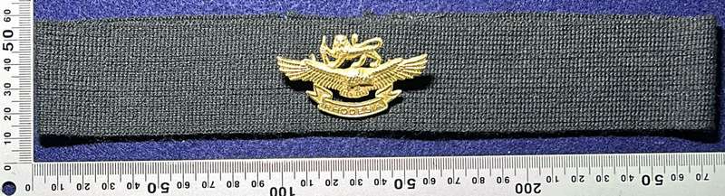 Rhodesian Air Force - Rh Air Force Women's Hat badge CAP BADGE (REUTELER) WITH REMOVABLE HAT BAND