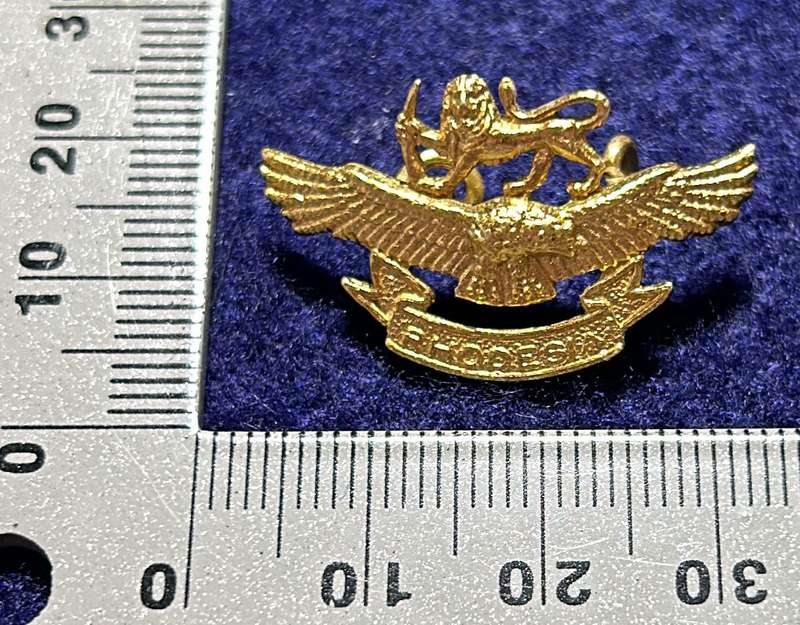 Rhodesian Air Force - RHAF LADIES CAP BADGES, REUTELER, SALISBURY