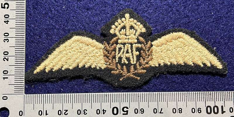 RRAF PILOTS WING WW2