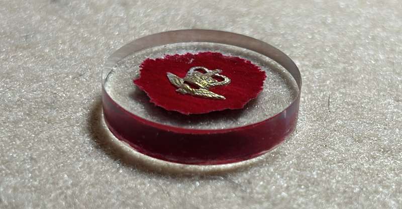 Rhodesian Airforce Badge QC in Resin Roundel