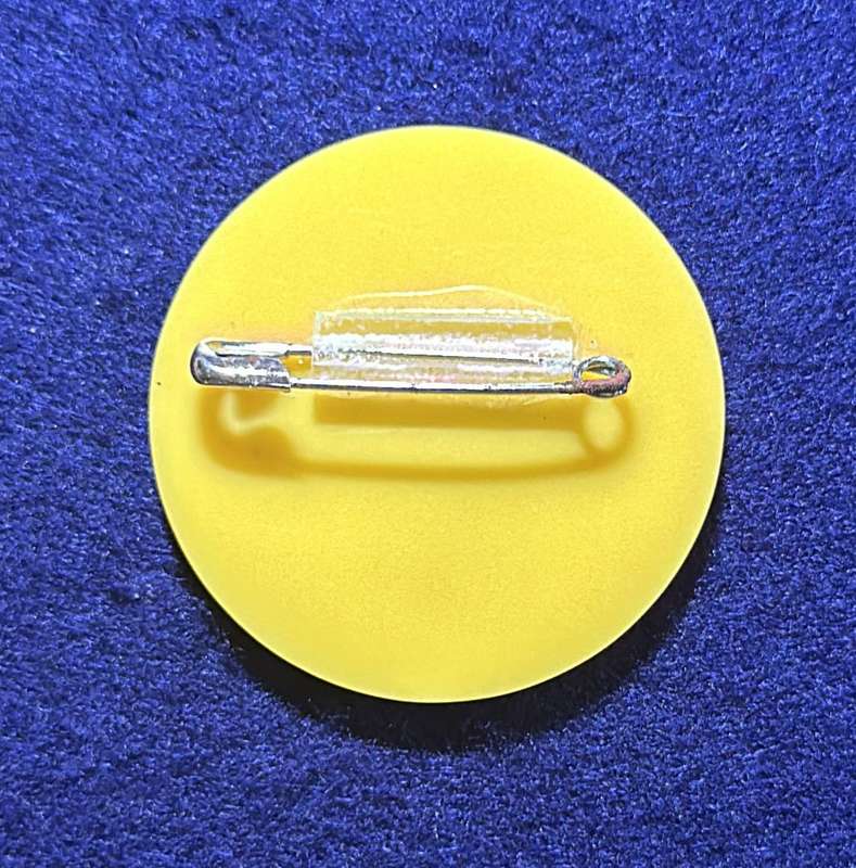 Rhodesia Badges General - 1976 RASA JUNIOR CHAMPIONSHIPS, SALISBURY - M. ASHWIN