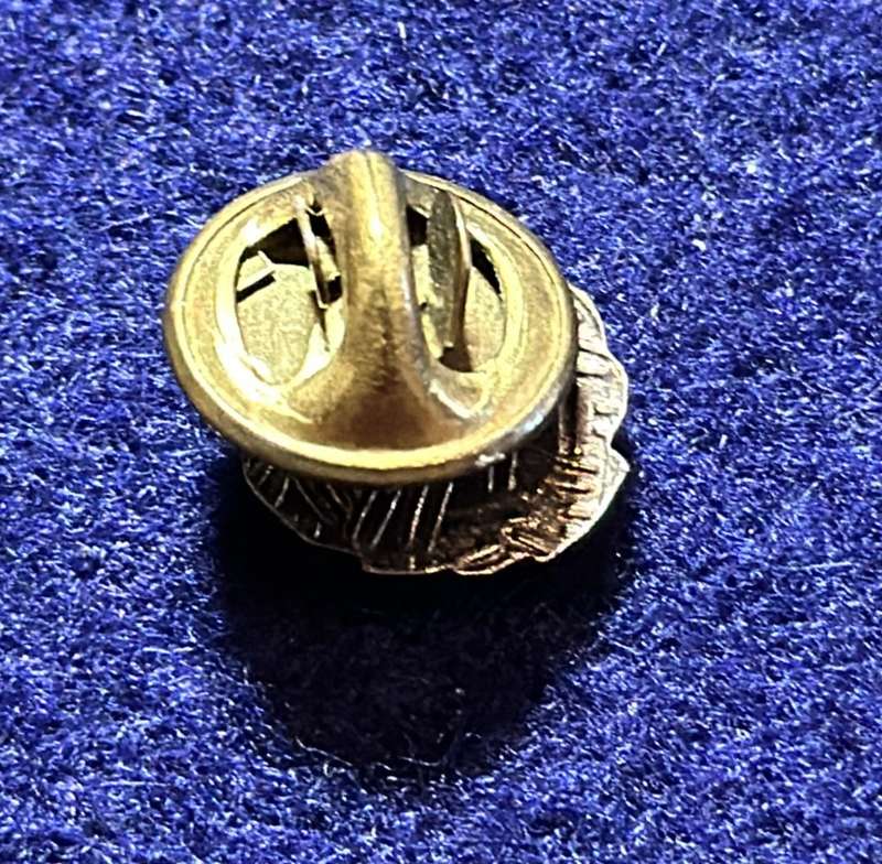 Rhodesia Badges General - PIN WITH WREATH - UNKNOWN
