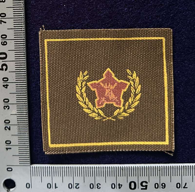 SADF 5 YEAR RESERVEST MATERIAL BADGE
