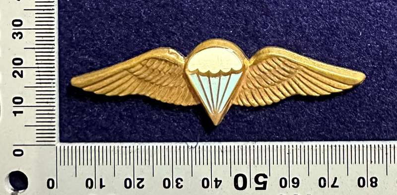SA ARMY - PARA QUALIFICATION WINGS (no pins)
