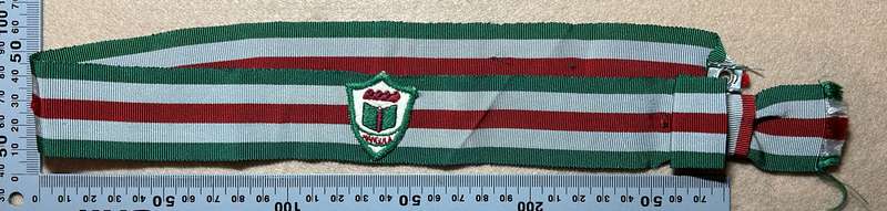 Rhodesian Sports Clubs / Schools - MTD MANGULA SASH