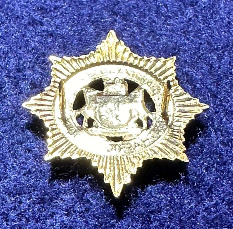 SAP CAP / BERET BADGE