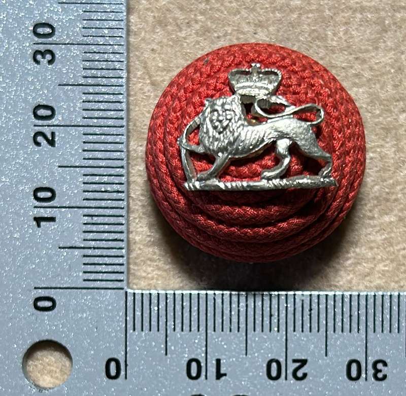 RHODESIA REGIMENT - OFFICERS BOSS BERET BADGE WITH SILVER LIONS
