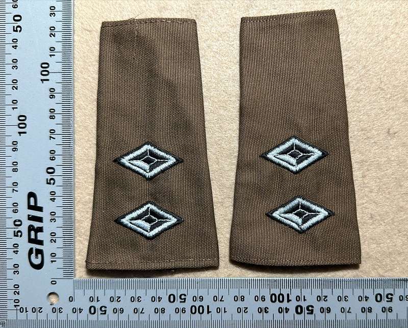 SWATF - LT OFFICER SLIP ON RANK PAIR