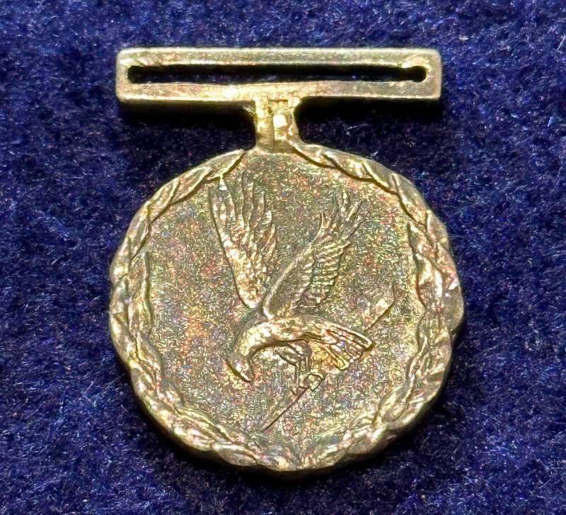SA Military Decorations & Medals - Sandile Decoration (SD), Miniature Medal - No Ribbon