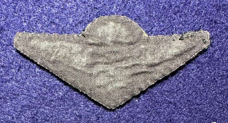 SAP TASKFORCE WINGS - EMBROIDERED