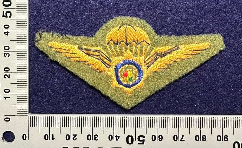 SAP TASKFORCE WINGS - EMBROIDERED