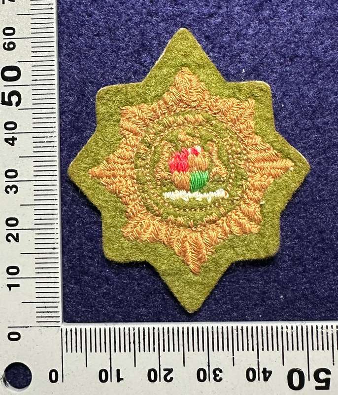 SAP/KOEVOET/SWAPOL CAP BADGE