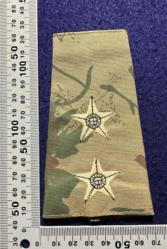 SAP TASKFORCE CAMO RANK - LT