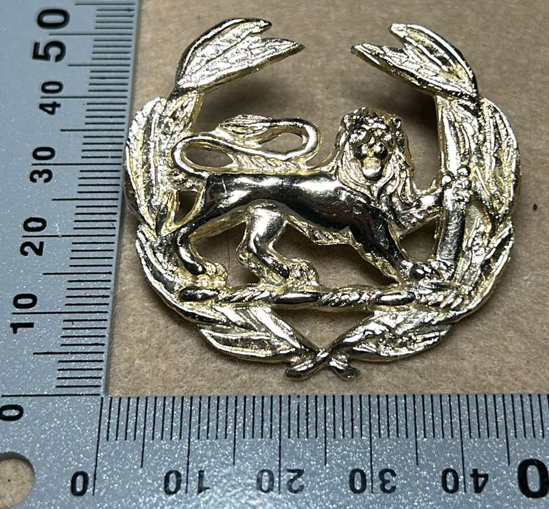 RHODESIA - WARRANT OFFICER ANNODISED BADGE