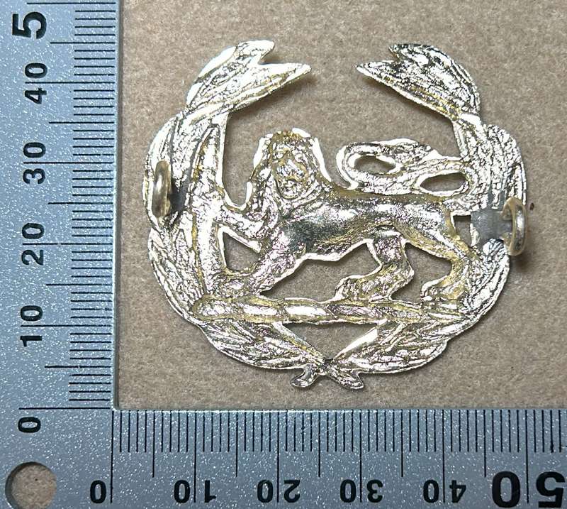 RHODESIA - WARRANT OFFICER ANNODISED BADGE