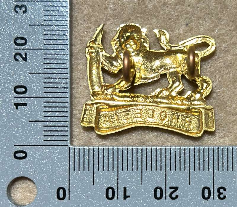 RHODESIA STAFF/ GENERAL SC - BADGE
