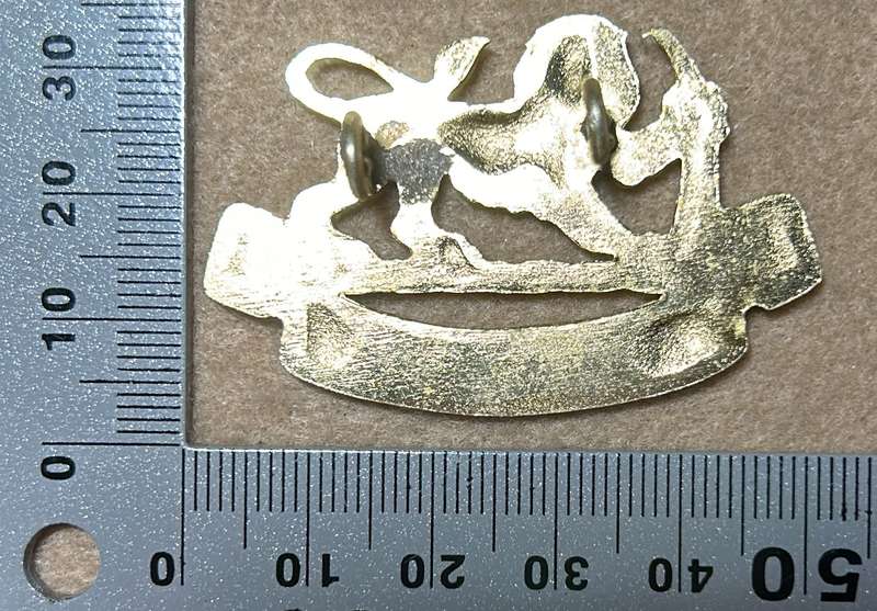 RHODESIA GENERAL SERVICE CORPS - CAP BADGE - 1970 -80