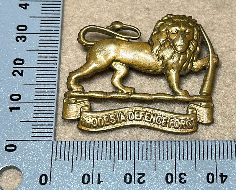 RHODESIA DEFENCE FORCE - BADGE - 1918-23