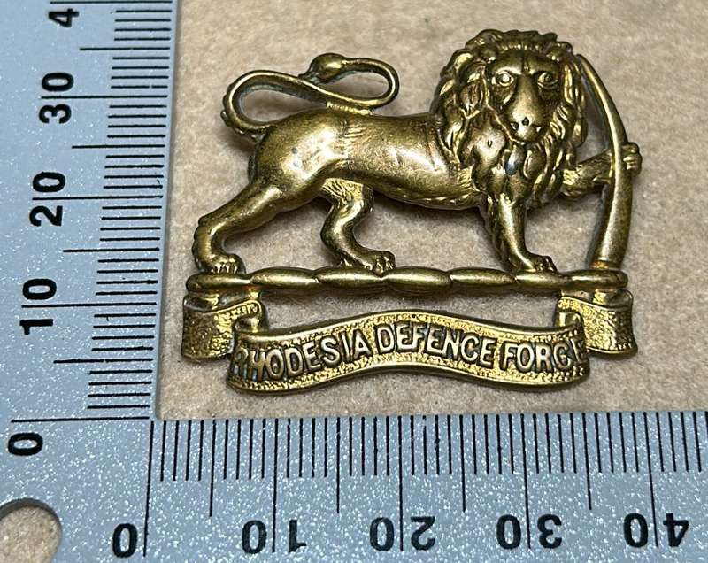 RHODESIA DEFENCE FORCE - BADGE - 1918-23