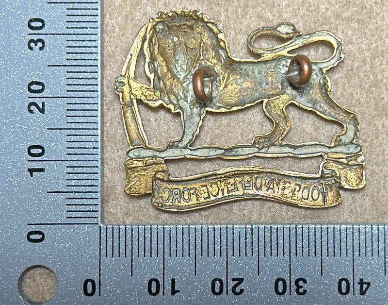 RHODESIA DEFENCE FORCE - BADGE - 1918-23
