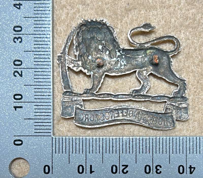 RHODESIA DEFENCE FORCE - BADGE - 1918-23