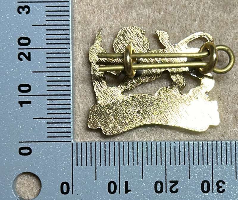 RHODESIA STAFF/ GENERAL SC - BADGE