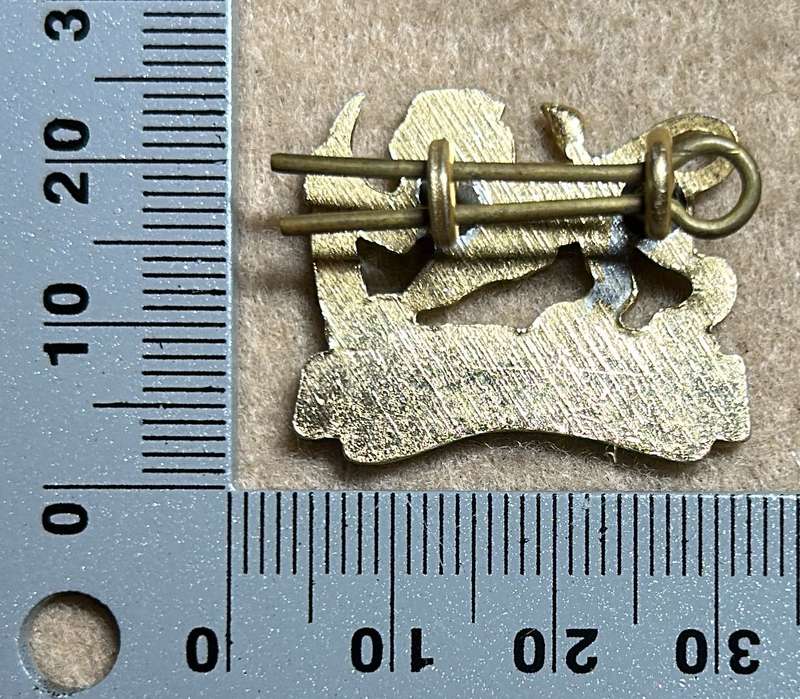 RHODESIA STAFF/ GENERAL SC - BADGE