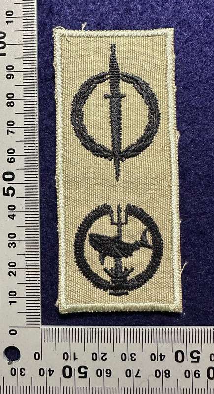 SA ARMY - SPECIAL FORCES COMBINED QUALIFICATION & ATTACK DIVER BADGE