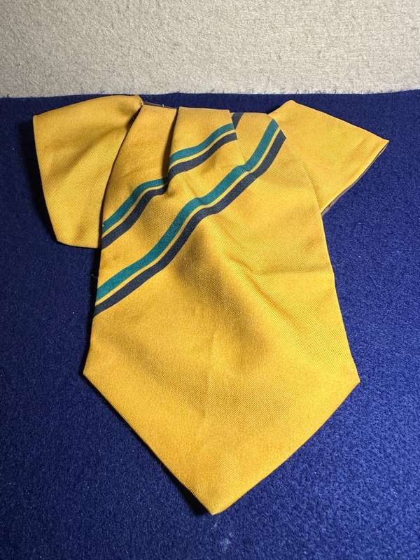 SA ARMY CRAVAT