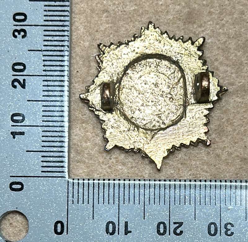 RHODESIA STAFF/ GENERAL SC - COLLARS BADGE / BROOCH