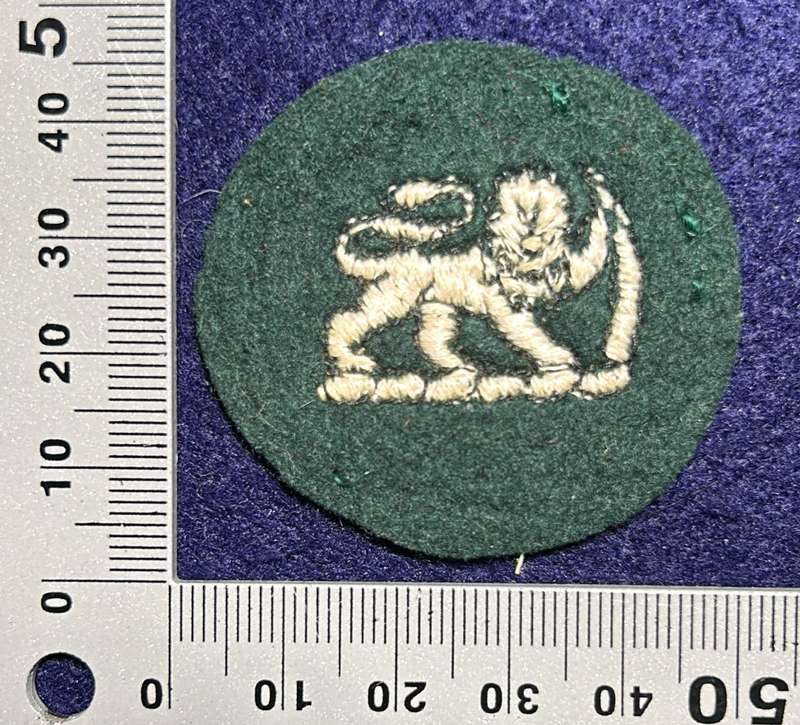 RHODESIA AFRICA RIFLES - 1 WO I BADGE ON GREEN