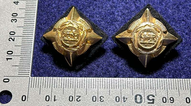 RHODESIA AFRICA RIFLES - 2 OFFICER PIPS WITH FELT BACKING