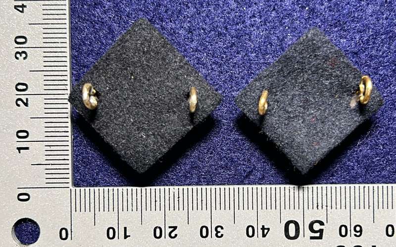 RHODESIA AFRICA RIFLES - 2 OFFICER PIPS WITH FELT BACKING