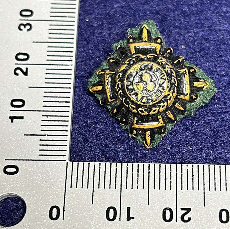 RHODESIA AFRICA RIFLES - 1 OFFICER PIP VARIANT WITH FELT BACKING