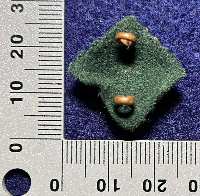 RHODESIA AFRICA RIFLES - 1 OFFICER PIP VARIANT WITH FELT BACKING