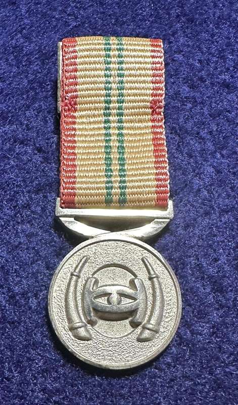 SADF/SANDF Intelligence Services Medal - Distinguished Service Silver - Miniature