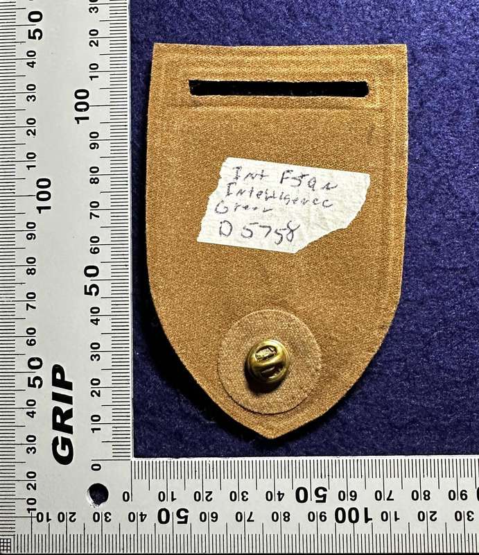SADF Military Intelligence F Squadron Tupper Flash