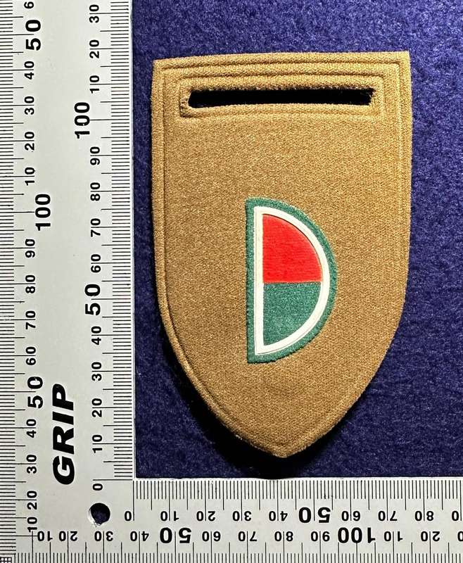SADF Military Intelligence F Squadron Tupper Flash