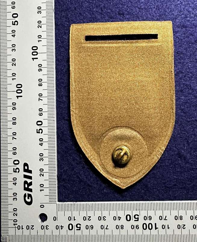 SADF Military Intelligence PsyOps Tupper Flash (RARE)