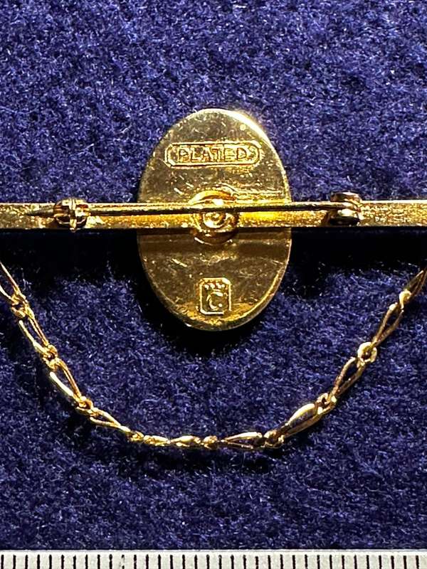 Bophuthatswana National Intelligence Organisation Tie Pin with Chain (Gold Plated)