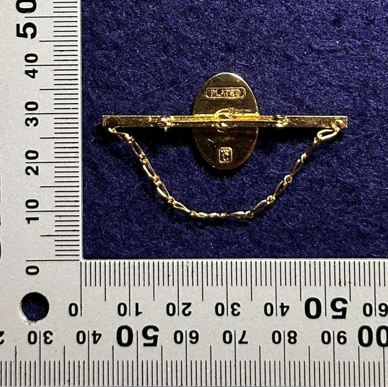 Bophuthatswana National Intelligence Organisation Tie Pin with Chain (Gold Plated)