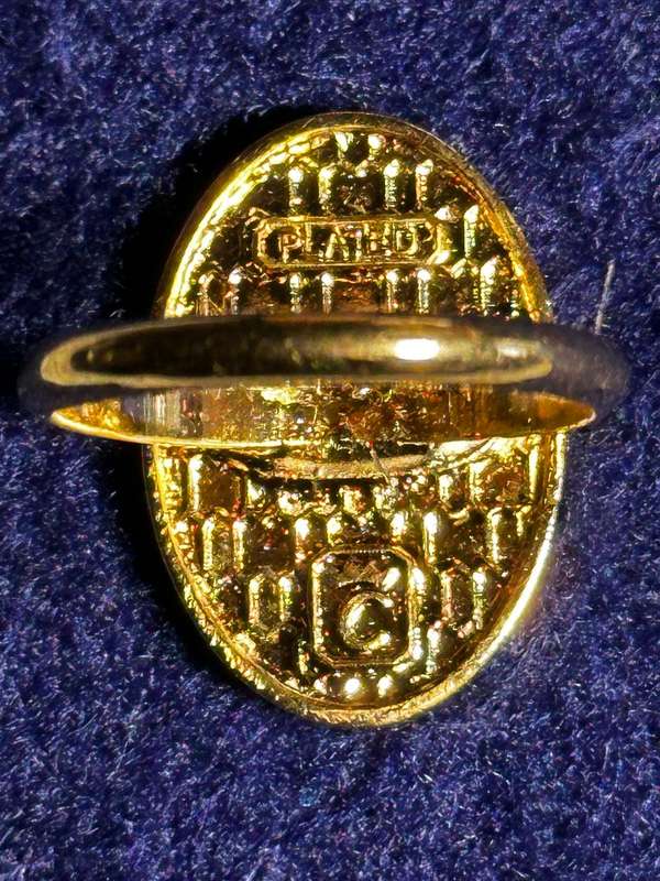 Bophuthatswana National Intelligence Organisation Cravat / Scarf Pin (Gold Plated)